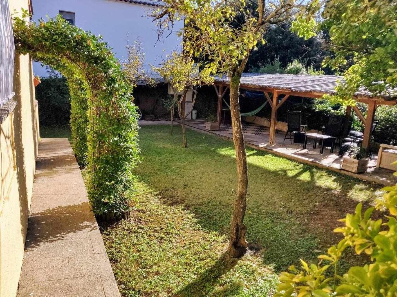 Can Camps Besalu Casa Planta Baja Con Jardin Exterior photo