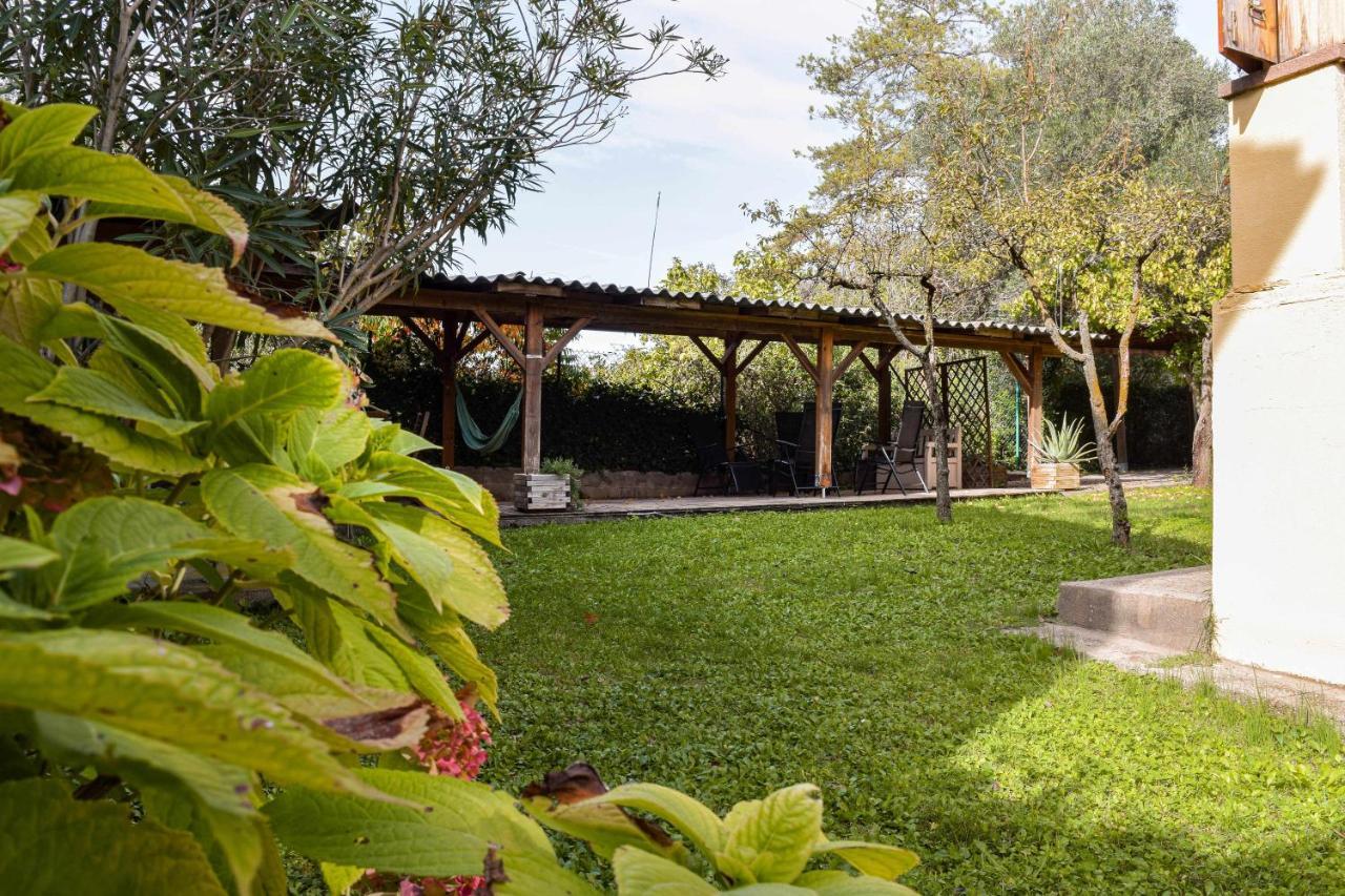 Can Camps Besalu Casa Planta Baja Con Jardin Exterior photo
